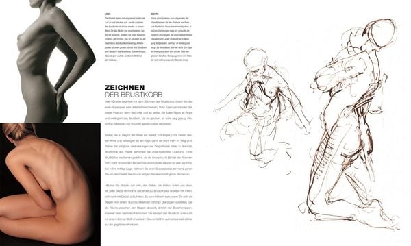 Produktbild: Anatomie f&uuml;r K&uuml;nstler