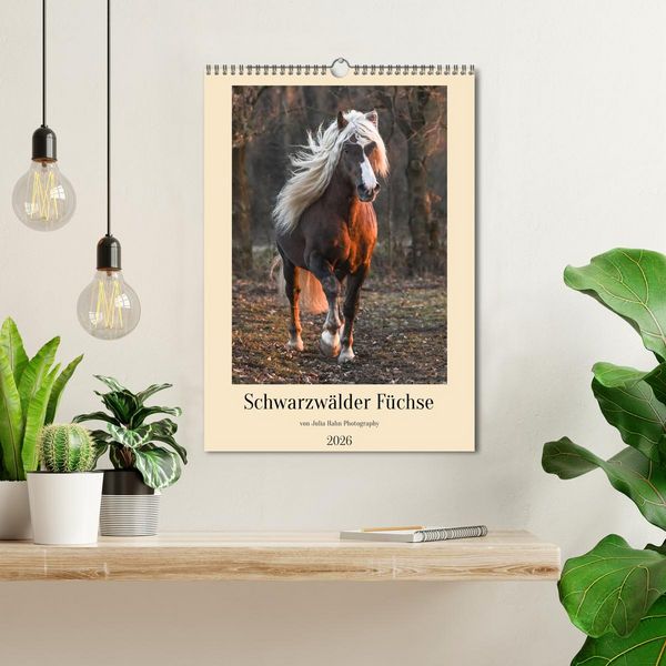 Produktbild: Schwarzw&auml;lder F&uuml;chse von Julia Hahn Photography (Wandkalender 2026 DIN A3 hoch), CALVENDO Monatskalender