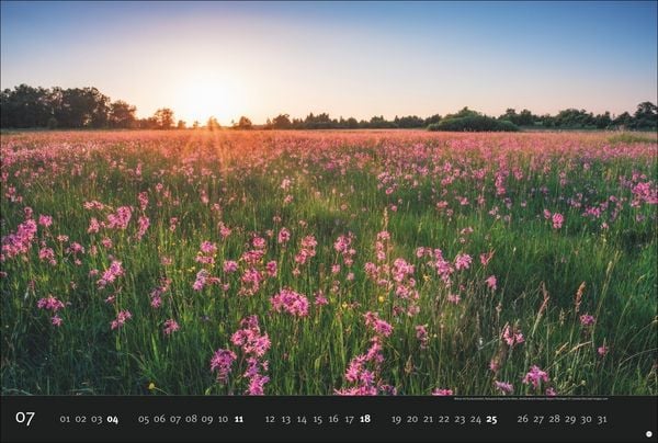 Produktbild: Deutschlands Naturparadiese Kalender 2027 - Edition Alexander von Humboldt Kalender 2027