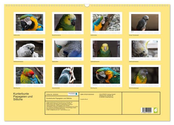 Produktbild: Kunterbunte Papageien und Sittiche (Wandkalender 2026 DIN A2 quer), CALVENDO Monatskalender