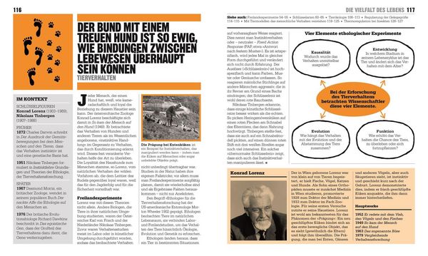 Produktbild: Big Ideas. Das &Ouml;kologie-Buch