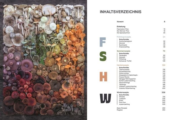 Produktbild: Pilze, Pilze, Pilze