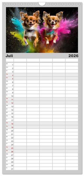 Produktbild: Familienplaner 2026 - Holi Pulver - Doppelte Action mit 5 Spalten (Wandkalender, 21 x 45 cm) CALVENDO