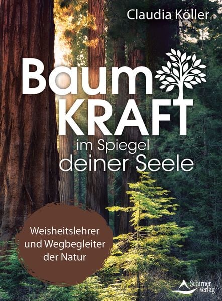 Produktbild: Baumkraft im Spiegel deiner Seele