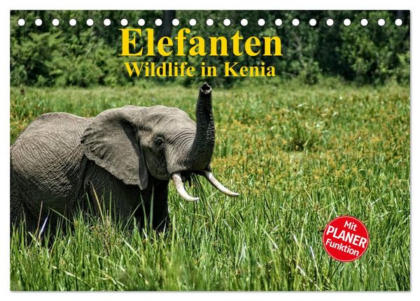 Produktbild: Elefanten . Wildlife in Kenia (Tischkalender 2026 DIN A5 quer), CALVENDO Monatskalender