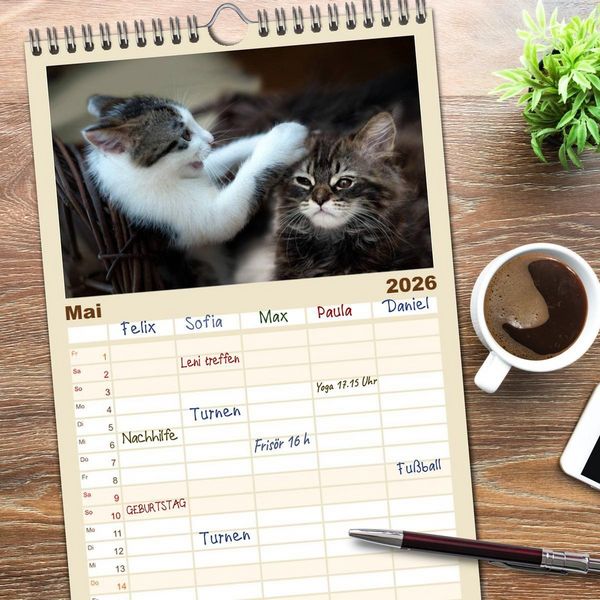 Produktbild: Familienplaner 2026 - Katzenbabys beobachtet mit 5 Spalten (Wandkalender, 21 x 45 cm) CALVENDO