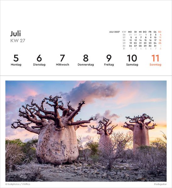 Produktbild: Alte B&auml;ume - KUNTH Postkartenkalender 2027