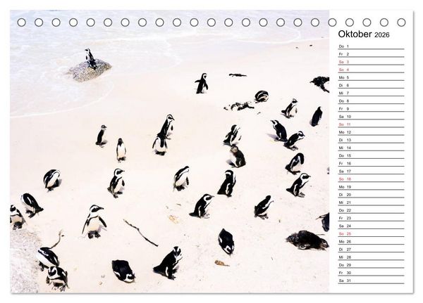 Produktbild: Pinguinliebe (Tischkalender 2026 DIN A5 quer), CALVENDO Monatskalender