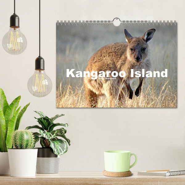 Produktbild: Kangaroo Island (Wandkalender 2026 DIN A4 quer), CALVENDO Monatskalender