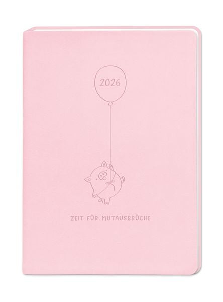 Amazon.com: Terminplaner Lederlook 2025 Rosa: Terminplaner