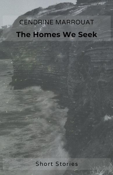 Produktbild: The Homes We Seek