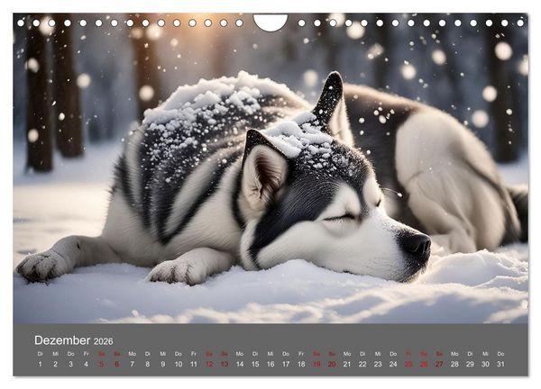 Produktbild: Tierische Urlaubstr&auml;ume (Wandkalender 2026 DIN A4 quer), CALVENDO Monatskalender