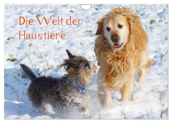 Produktbild: Die Welt der Haustiere (Wandkalender 2027 DIN A4 quer), CALVENDO Monatskalender