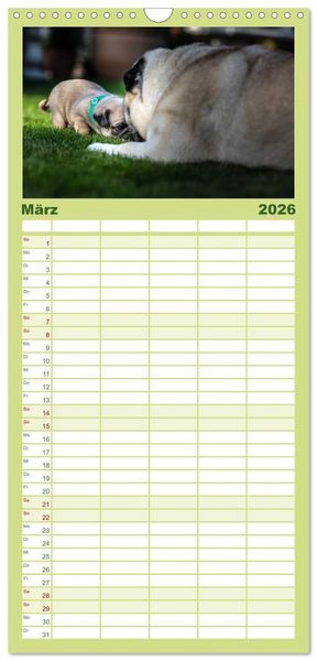 Produktbild: Familienplaner 2026 - Mopswelpen mit 5 Spalten (Wandkalender, 21 x 45 cm) CALVENDO