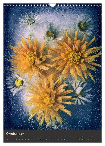 Produktbild: Magische Eisblumen (Wandkalender 2027 DIN A3 hoch), CALVENDO Monatskalender