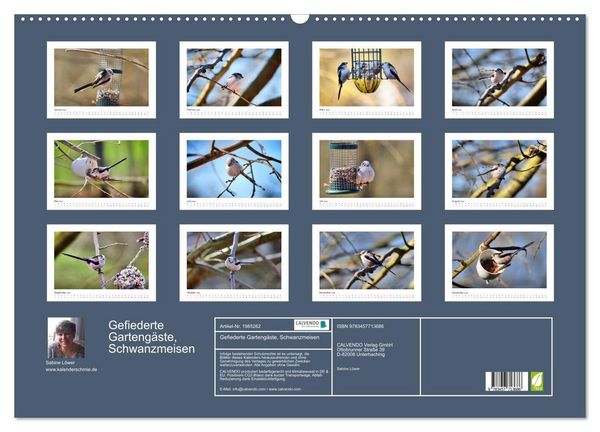 Produktbild: Gefiederte Garteng&auml;ste, Schwanzmeisen (Wandkalender 2026 DIN A2 quer), CALVENDO Monatskalender