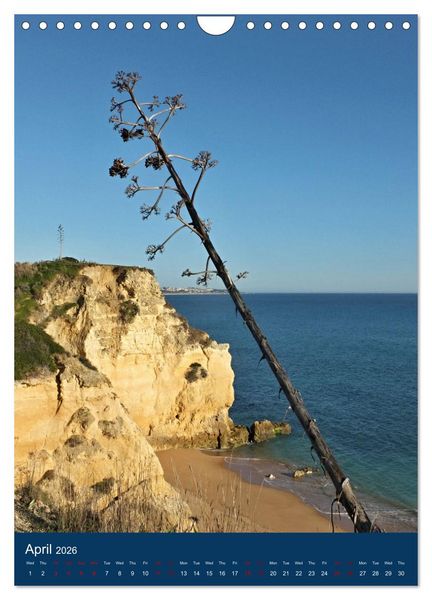 Produktbild: Pure Algarve (Wall Calendar 2026 DIN A4 portrait), CALVENDO 12 Month Wall Calendar