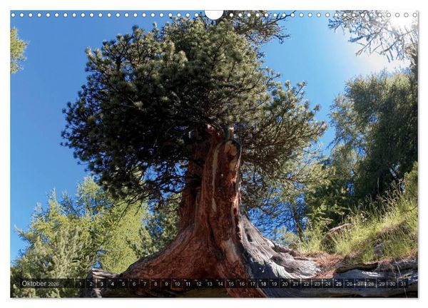 Produktbild: Alpen live - Rund um das Matterhorn (Wandkalender 2026 DIN A3 quer), CALVENDO Monatskalender