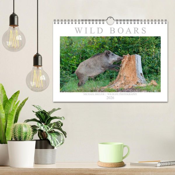Produktbild: Wild Boars (Wall Calendar 2026 DIN A4 landscape), CALVENDO 12 Month Wall Calendar