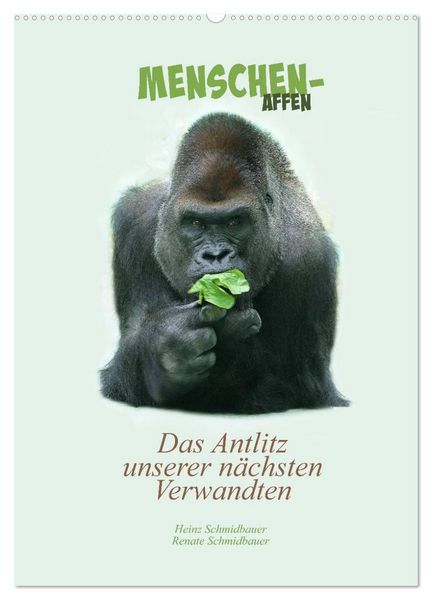 Produktbild: Menschenaffen - Das Antlitz unserer n&auml;chsten Verwandten (Wandkalender 2026 DIN A2 hoch), CALVENDO Monatskalender