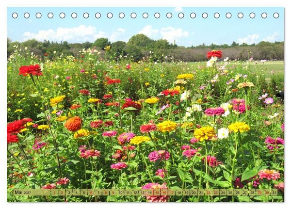 Produktbild: Die Natur Japans (Tischkalender 2027 DIN A5 quer), CALVENDO Monatskalender