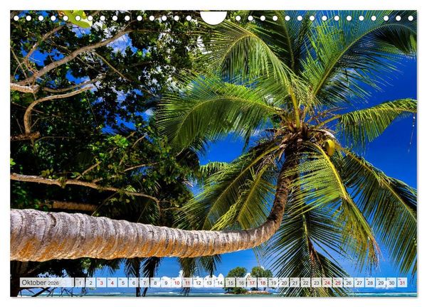 Produktbild: Die Seychellen - ganz nah am Paradies (Wandkalender 2026 DIN A4 quer), CALVENDO Monatskalender