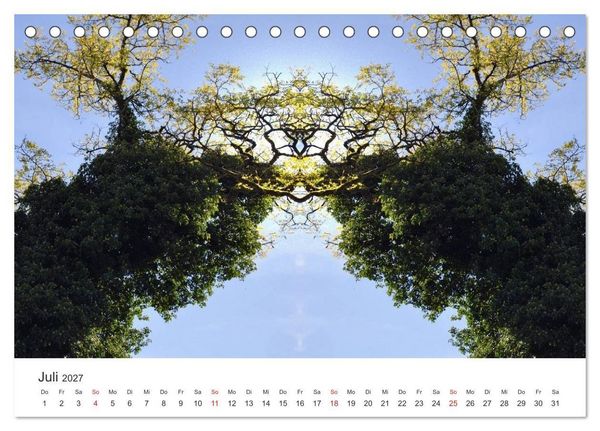 Produktbild: Spiegelwelten - Natur anders sehen (Tischkalender 2027 DIN A5 quer), CALVENDO Monatskalender