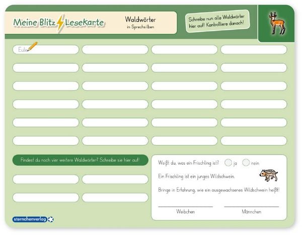 Produktbild: Meine Blitzlesekarten Set 3 zur Lesef&ouml;rderung (3 Lerntafeln mit Stift)