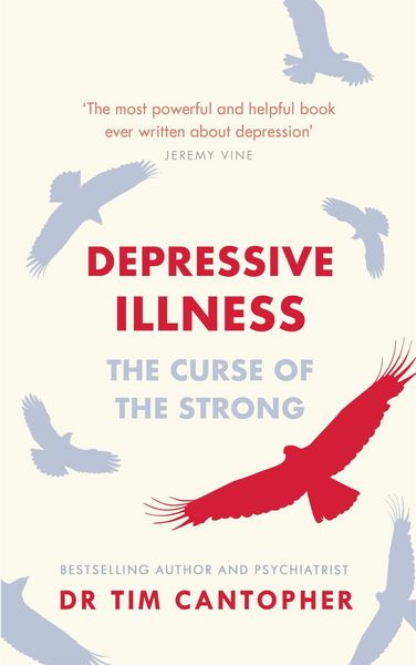 Produktbild: Depressive Illness