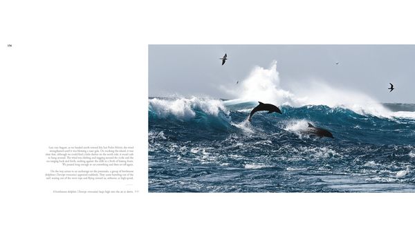 Produktbild: The Sea of Dreams