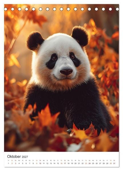 Produktbild: Panda Momente (Tischkalender 2027 DIN A5 hoch), CALVENDO Monatskalender
