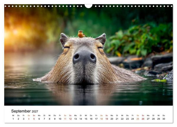 Produktbild: Capybara - die Ruhe als Lebensform (Wandkalender 2027 DIN A3 quer), CALVENDO Monatskalender