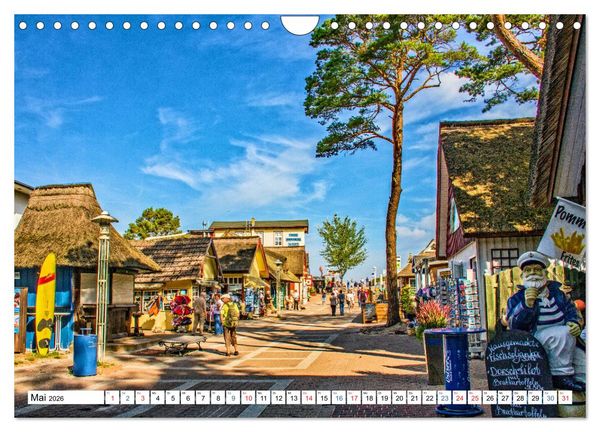 Produktbild: Prerow auf dem Dar&szlig; - Sehnsuchtsort an der Ostsee (Wandkalender 2026 DIN A4 quer), CALVENDO Monatskalender
