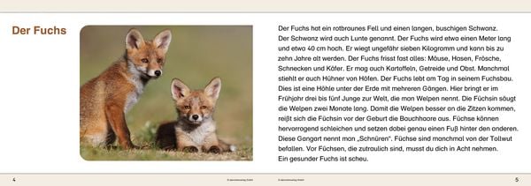 Produktbild: Ich kenne Waldtiere - Sch&uuml;lerarbeitsheft f&uuml;r die 2. bis 4. Klasse