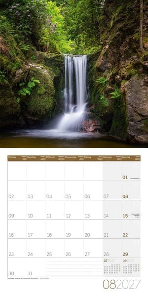 Produktbild: Zauber des Waldes Kalender 2027 - 30x30 - Art12