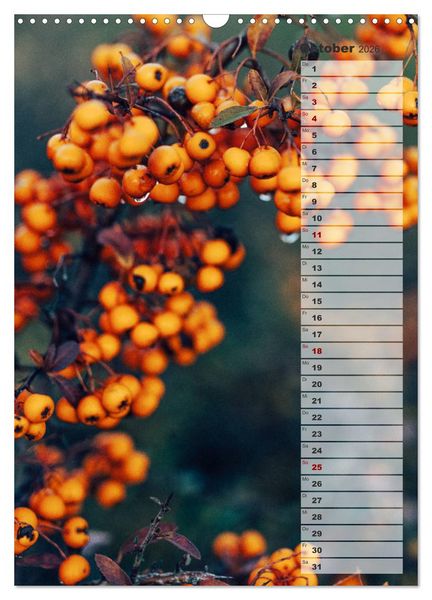 Produktbild: Kalender - Natur im Detail (Wandkalender 2026 DIN A3 hoch), CALVENDO Monatskalender