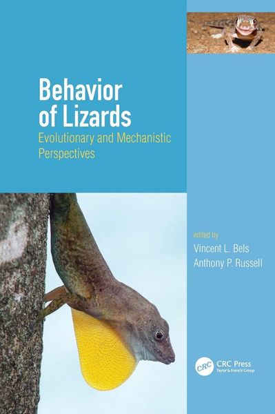Produktbild: Behavior of Lizards