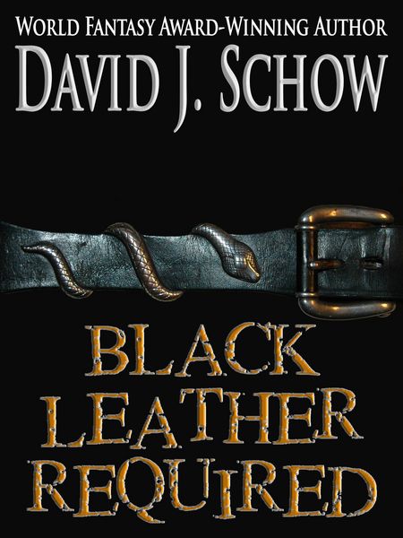 Produktbild: Black Leather Required