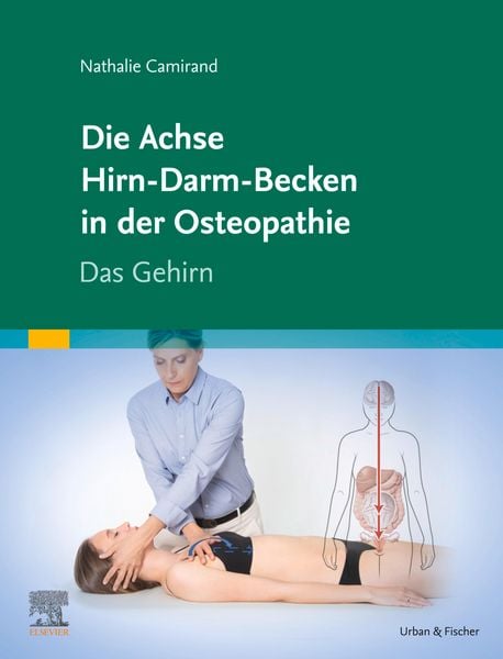 Produktbild: Die Achse Hirn-Darm-Becken in der Osteopathie