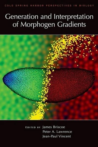 Produktbild: Generation and Interpretation of Morphogen Gradients