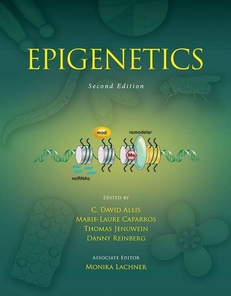 Produktbild: Epigenetics, Second Edition