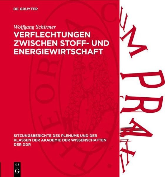 Produktbild: Verflechtungen zwischen Stoff- und Energiewirtschaft