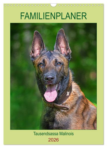 Produktbild: Familienplaner Tausendsassa Malinois (Wandkalender 2026 DIN A3 hoch), CALVENDO Monatskalender