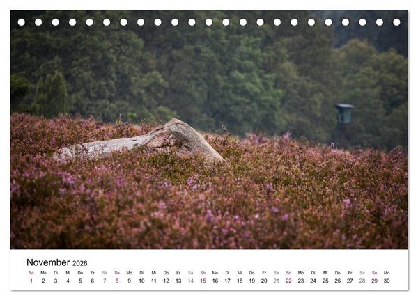 Produktbild: L&uuml;neburger Heide (Tischkalender 2026 DIN A5 quer), CALVENDO Monatskalender