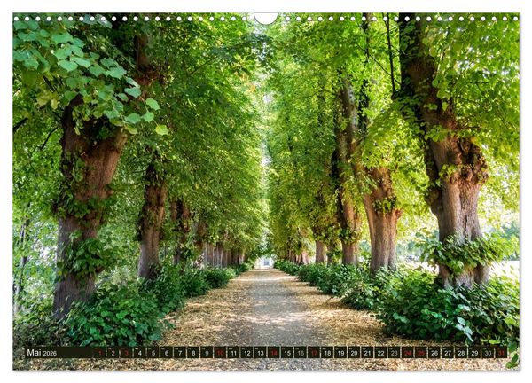 Produktbild: Holsteinische Schweiz - F&uuml;nf-Seen-Landschaft (Wandkalender 2026 DIN A3 quer), CALVENDO Monatskalender