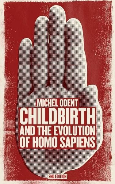 Produktbild: Childbirth and the Evolution of Homo Sapiens