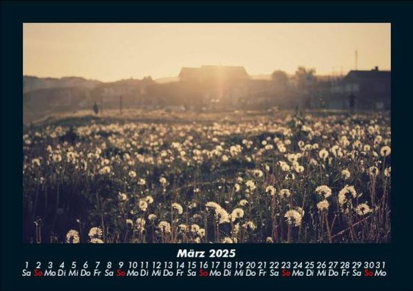 Produktbild: Bilder aus der Natur 2025 Fotokalender DIN A5