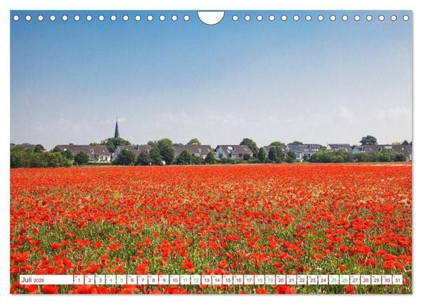Produktbild: K&ouml;ln Widdersdorf - Bl&uuml;tentr&auml;ume und l&auml;ndliche Idylle (Wandkalender 2026 DIN A4 quer), CALVENDO Monatskalender