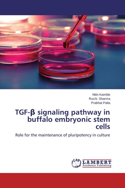 Produktbild: TGF-&iquest; signaling pathway in buffalo embryonic stem cells