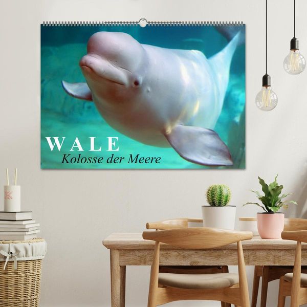 Produktbild: Wale - Kolosse der Meere (Wandkalender 2026 DIN A2 quer), CALVENDO Monatskalender